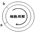 图片_x0020_100008