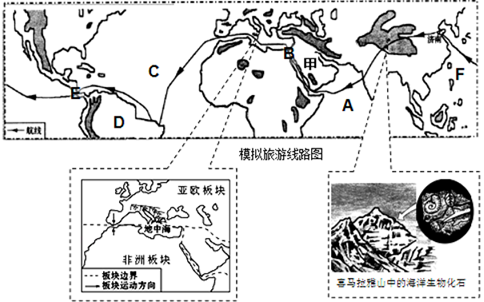 图片_x0020_100025