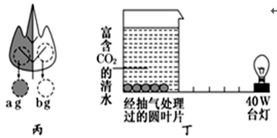 图片_x0020_100003