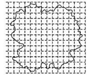 图片_x0020_1066005262