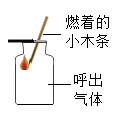 图片_x0020_439270652