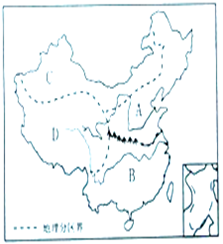 图片_x0020_100024