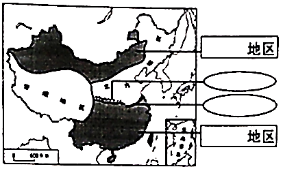 图片_x0020_2074901950