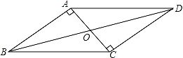 图片_x0020_100008