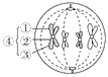 图片_x0020_100009