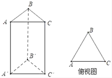 图片_x0020_1731923788