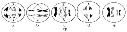 图片_x0020_134275023