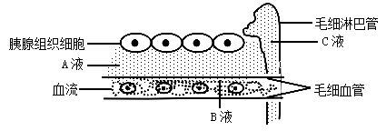 图片_x0020_1547801442