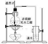 图片_x0020_100021