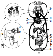 图片_x0020_100014