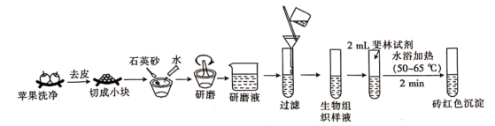 图片_x0020_100002