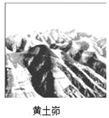 图片_x0020_100008