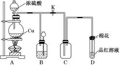 图片_x0020_1991326420
