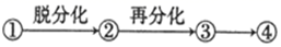 图片_x0020_1115371759