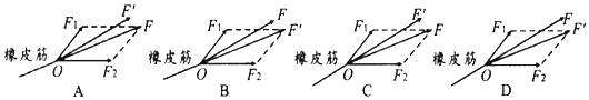 图片_x0020_100015
