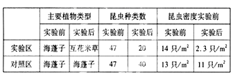 图片_x0020_1833128495