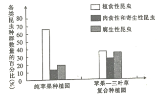 图片_x0020_768270219
