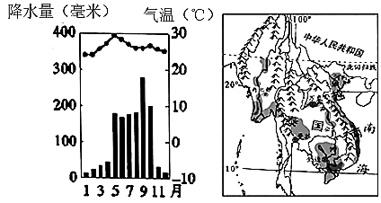 图片_x0020_1962589911