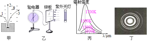 图片_x0020_100010