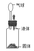 图片_x0020_218750325
