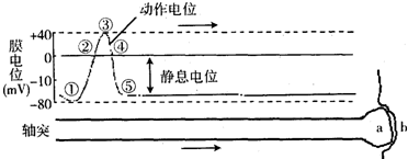 图片_x0020_1235053404