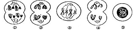 图片_x0020_100002