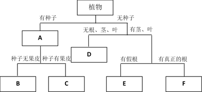 图片_x0020_1528329534