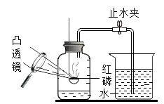 图片_x0020_100017