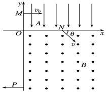 图片_x0020_100034