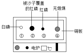 图片_x0020_1685209157