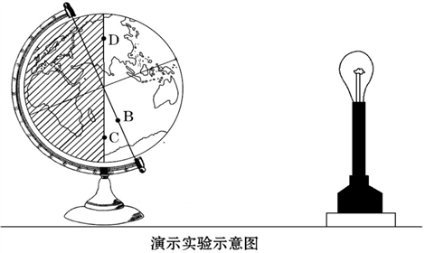 图片_x0020_1215399994