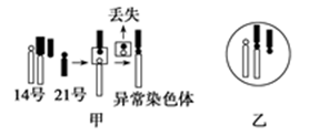 图片_x0020_100001