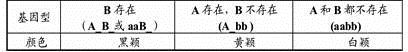 图片_x0020_1639532346