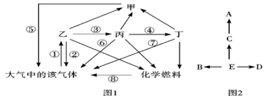 图片_x0020_2077038934