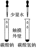 图片_x0020_100005