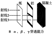 图片_x0020_100002