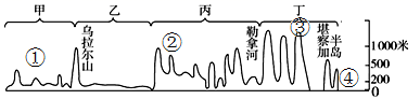 图片_x0020_1123062781