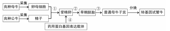 图片_x0020_794751534