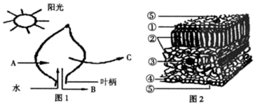 图片_x0020_100005