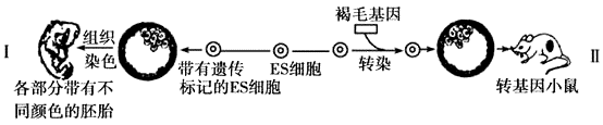 图片_x0020_100003