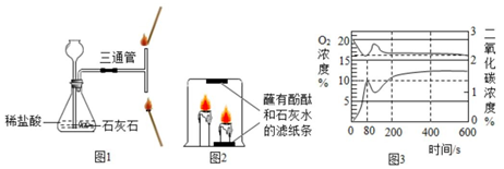 图片_x0020_1765261487