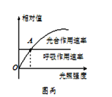 图片_x0020_100008
