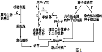 图片_x0020_100006