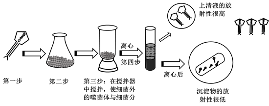 图片_x0020_783767282
