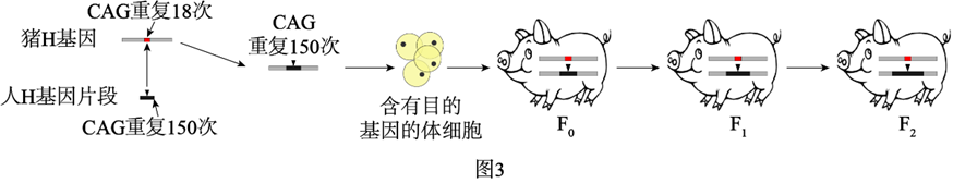 图片_x0020_1276905793