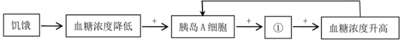 图片_x0020_100009