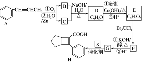 图片_x0020_100030
