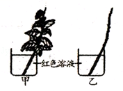 图片_x0020_29820887