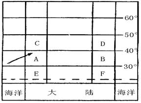 图片_x0020_100010