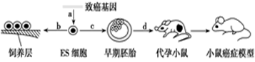 图片_x0020_100010